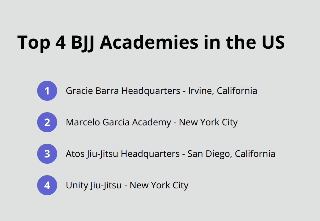 Ordered list of top 4 BJJ academies in the United States with their locations - aces jiu jitsu