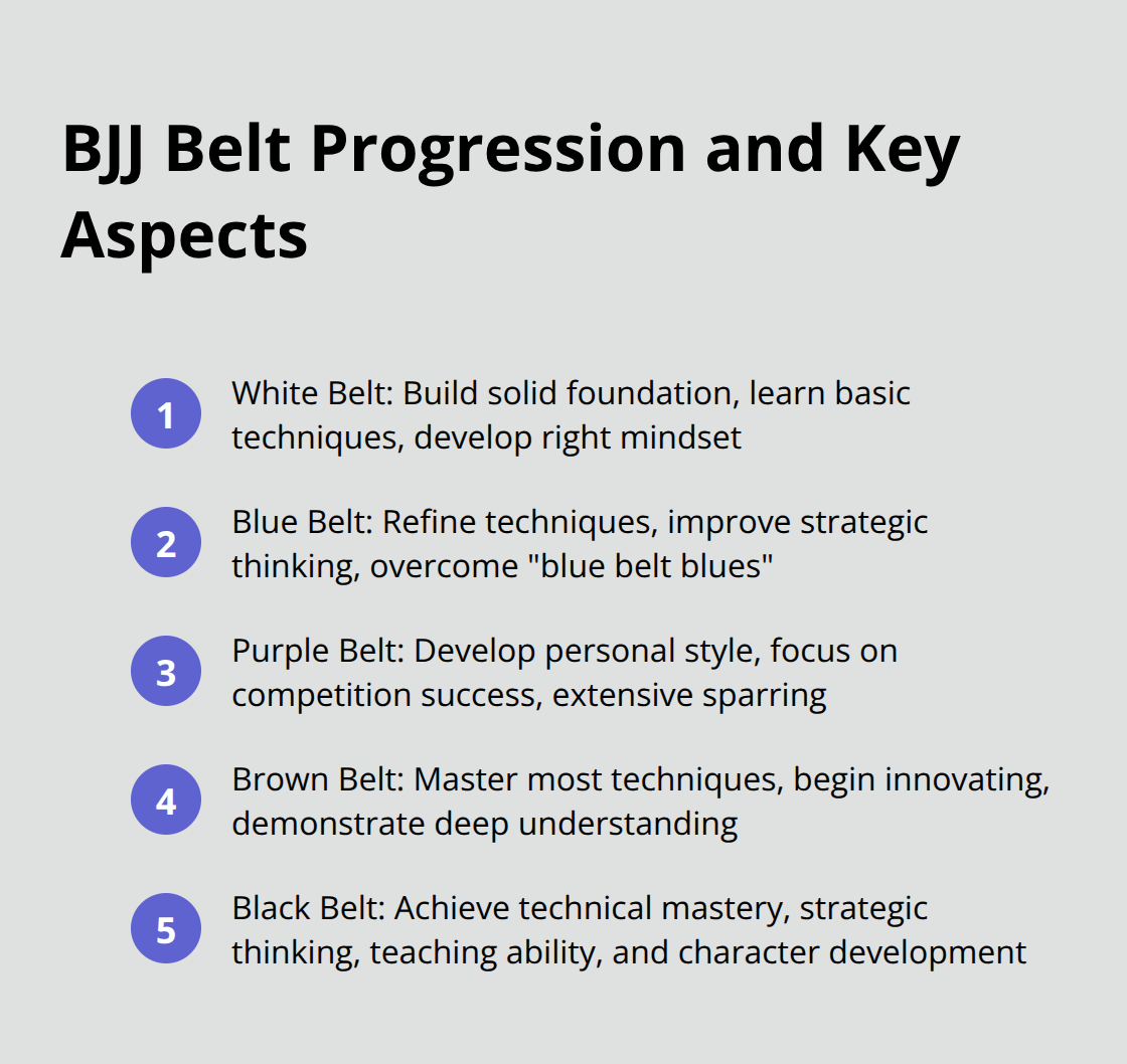 Ordered list showing the progression of BJJ belt ranks from white to black, with key aspects for each rank - black belt jiu jitsu