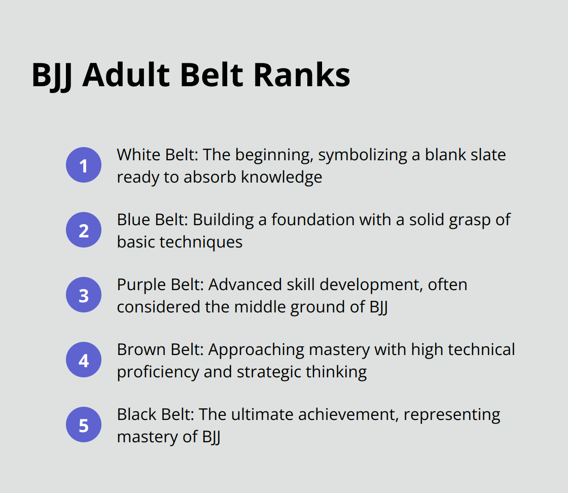 The five main adult belt ranks in Brazilian Jiu-Jitsu: White, Blue, Purple, Brown, and Black - brazilian jiu jitsu belt ranks