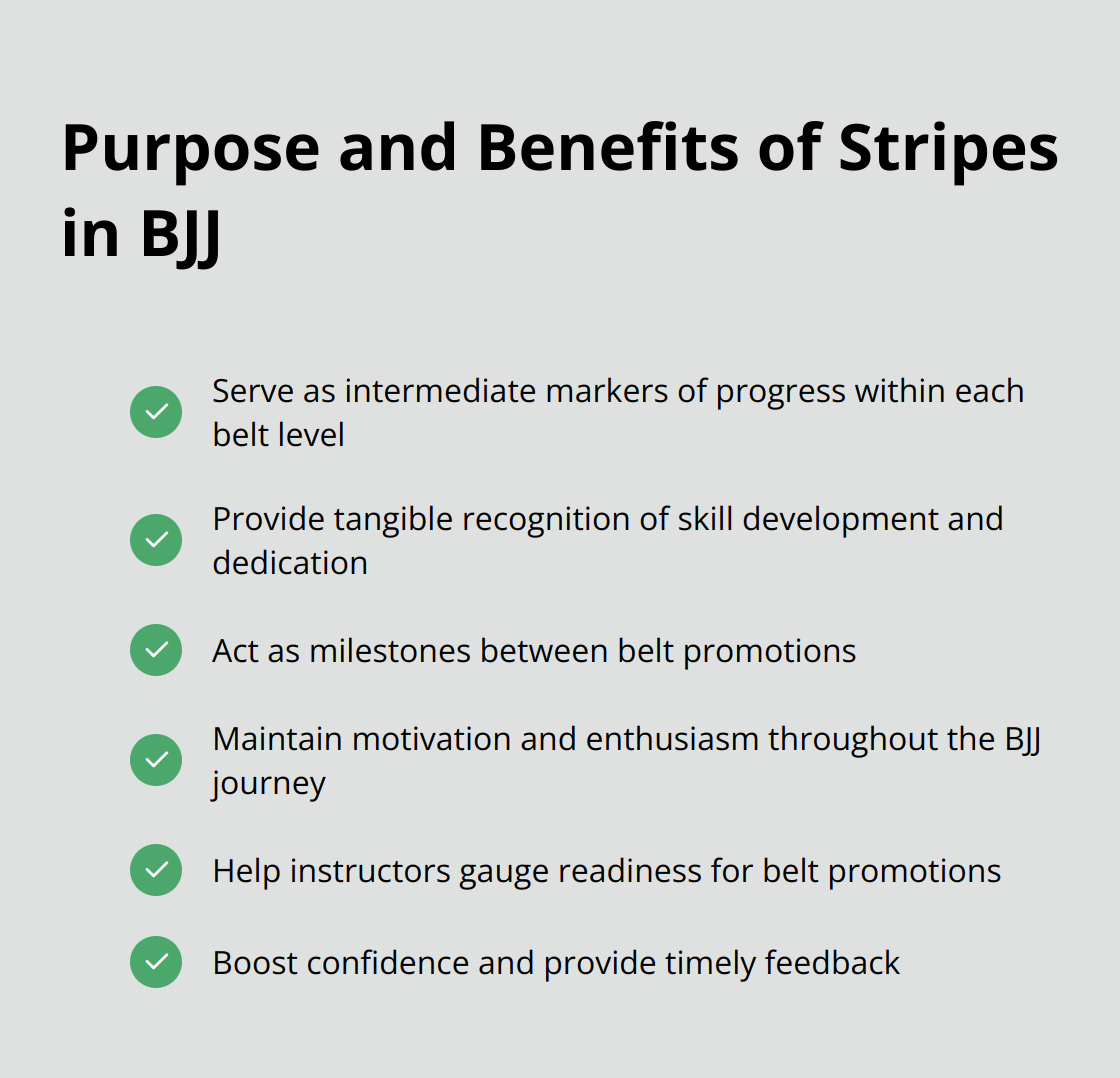Key purposes and benefits of stripes in the Brazilian Jiu-Jitsu belt system - brazilian jiu jitsu belt ranks