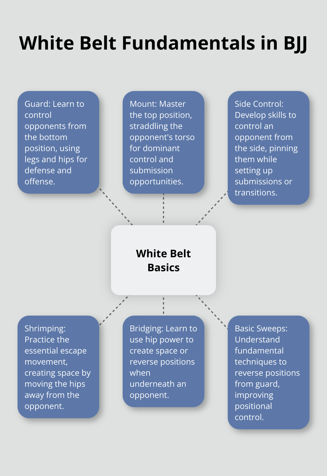 A hub and spoke chart showing the fundamental techniques and positions learned by white belts in Brazilian Jiu-Jitsu - jiu jitsu belt