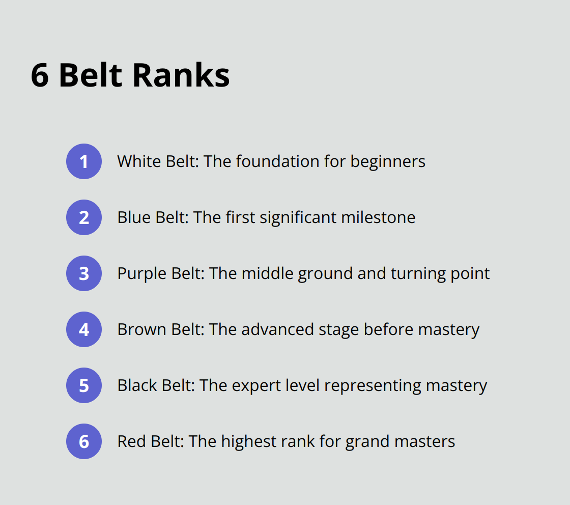 A list showing the progression of Brazilian Jiu-Jitsu belt ranks from white to red - jiu jitsu belt order