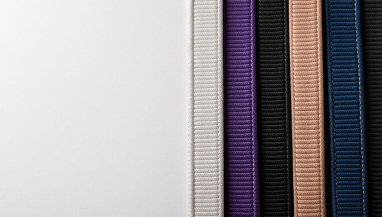 Understanding the BJJ Belt Progression