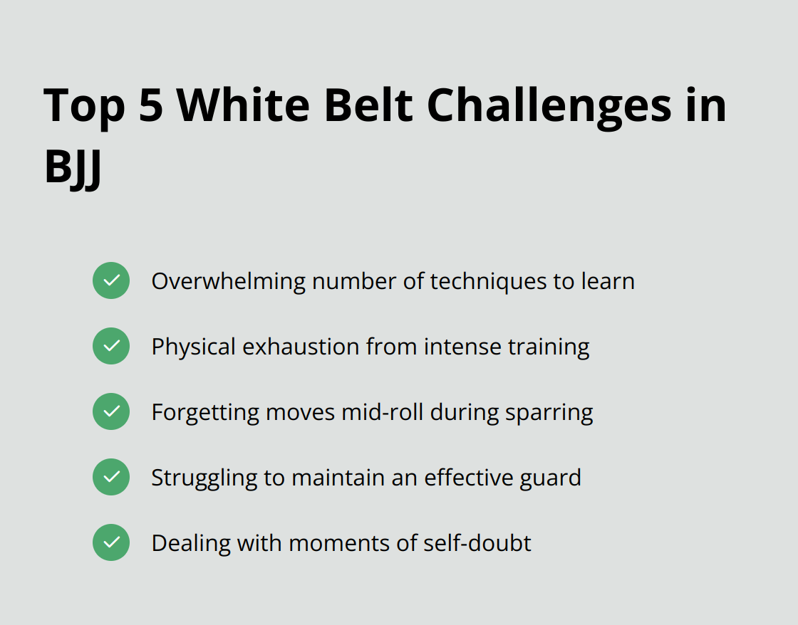 A checkmark list chart showing the top 5 challenges faced by white belts in Brazilian Jiu-Jitsu: Overwhelming techniques, Physical exhaustion, Forgetting moves mid-roll, Maintaining an effective guard, and Self-doubt. - jiu jitsu meme